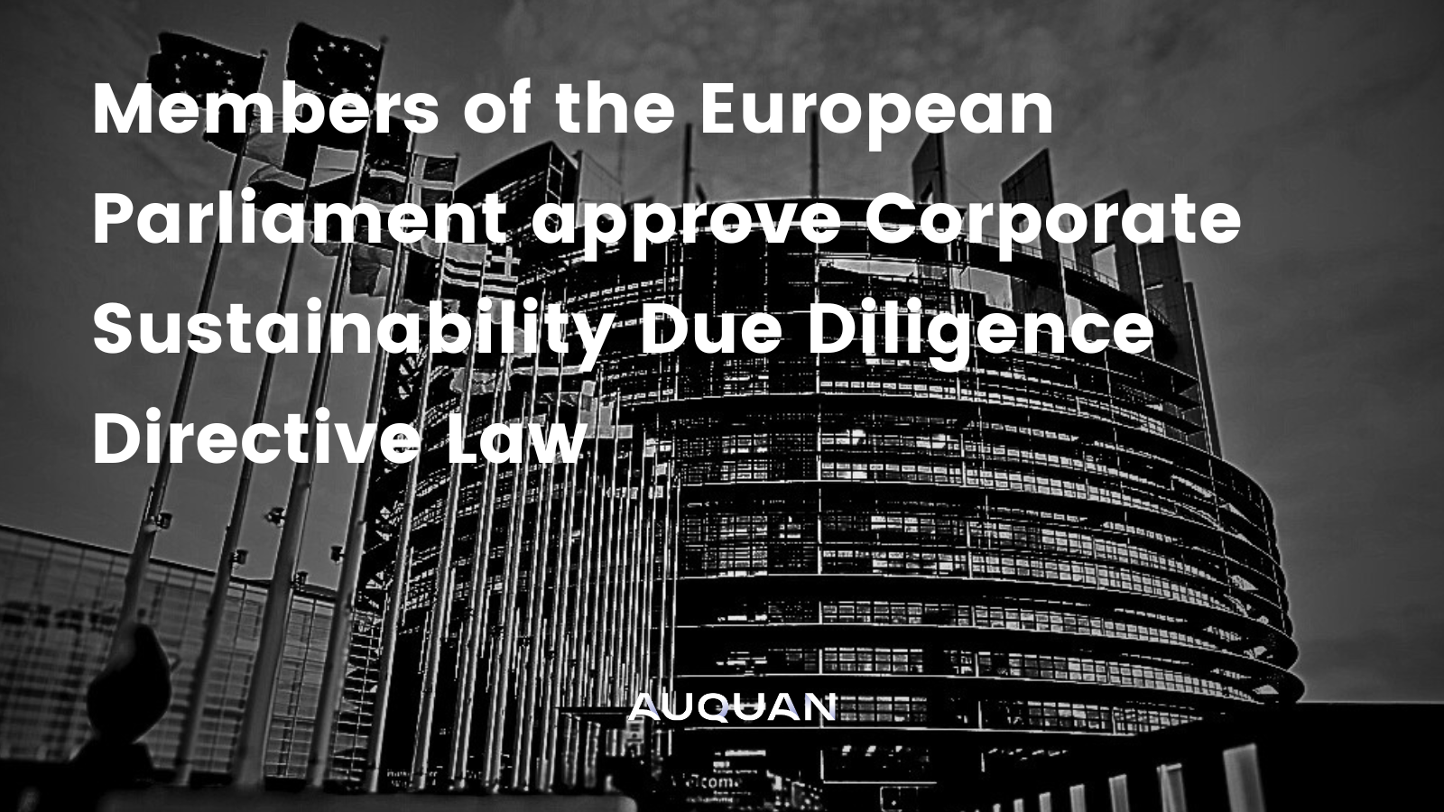 Members of the European Parliament approve Corporate Sustainability Due Diligence Directive Law