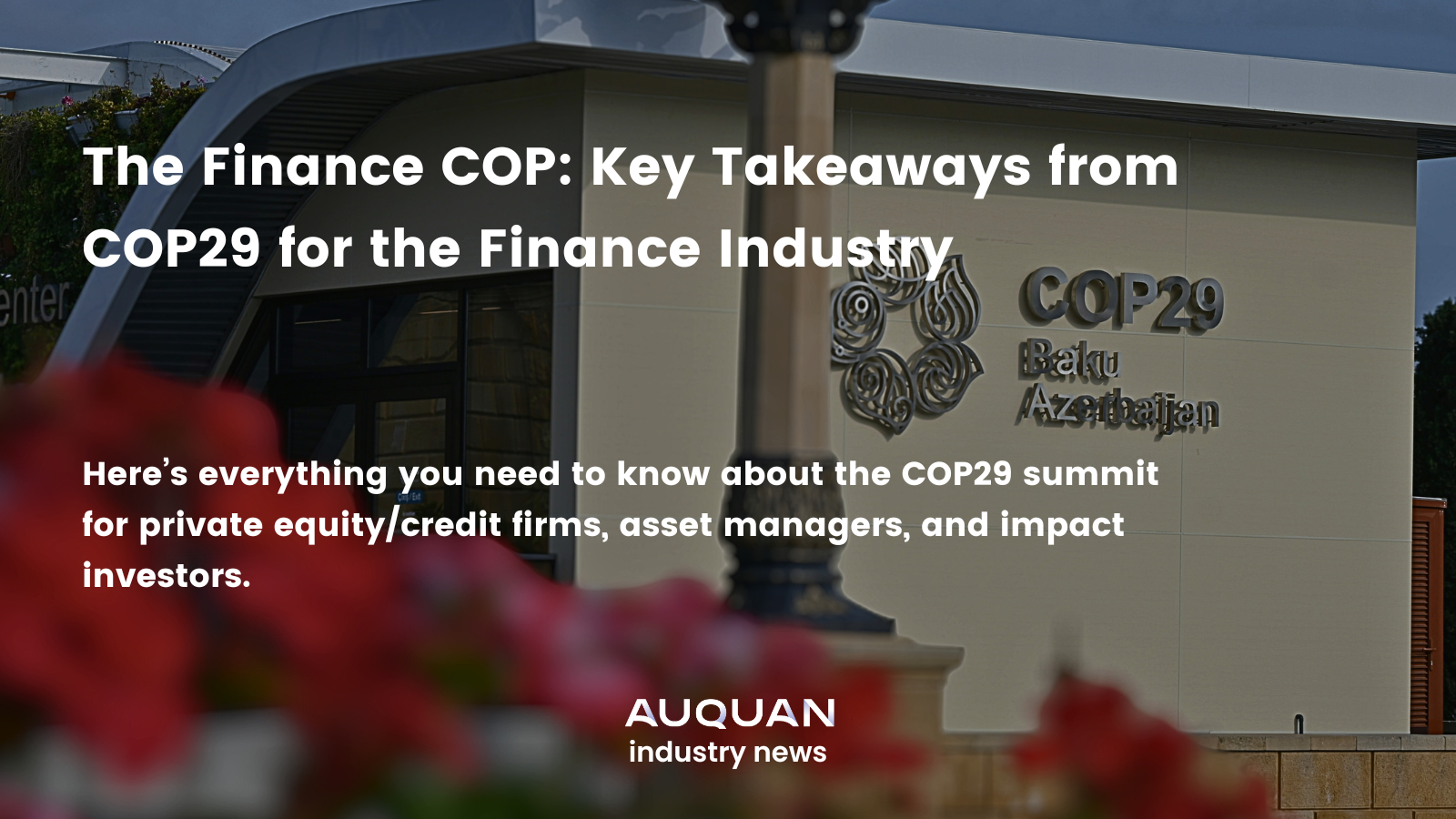 The Finance COP: Key Takeaways from COP29 for the Finance Industry