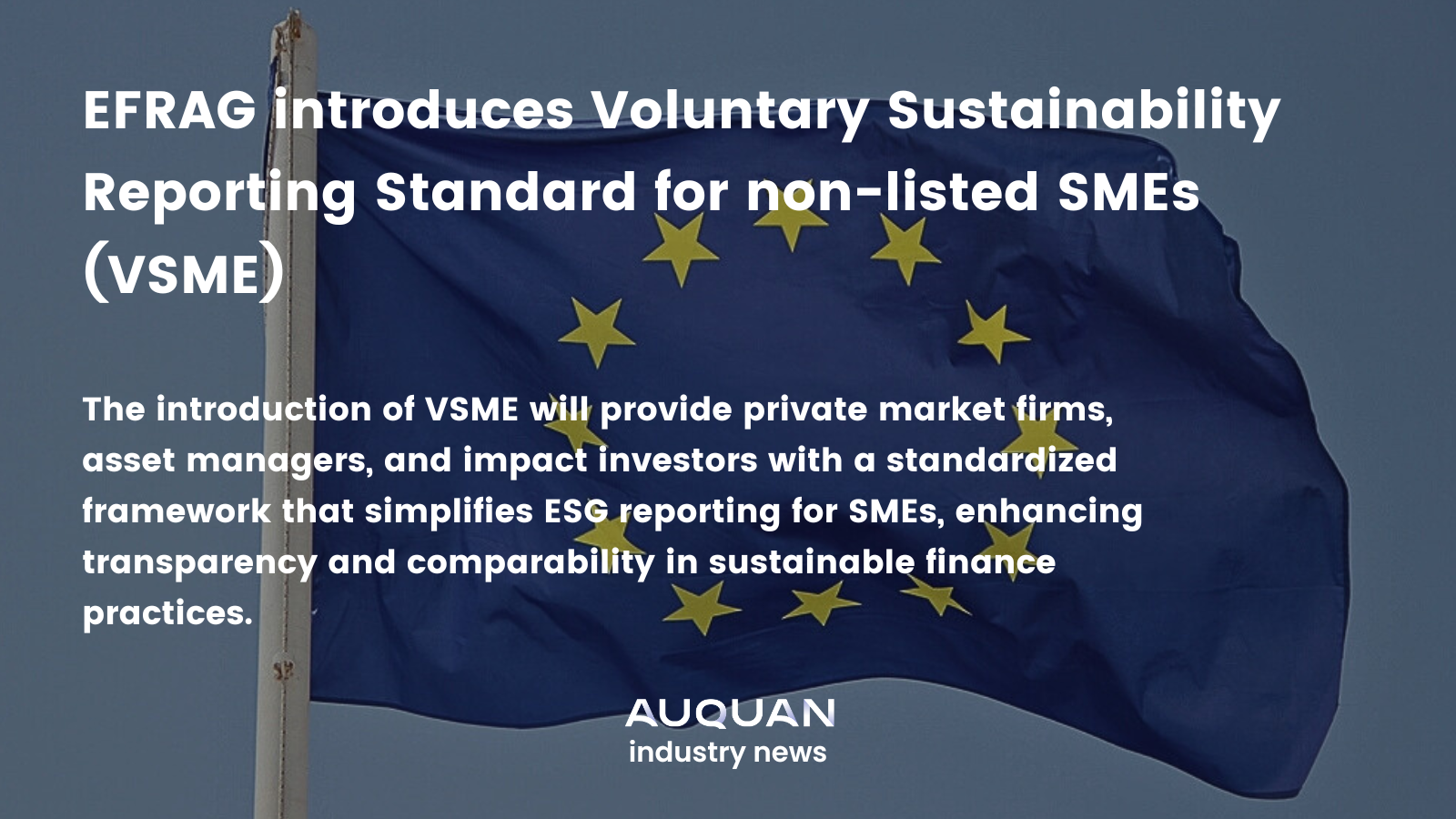 EFRAG Introduces Voluntary Sustainability Reporting Standard for Non-Listed SMEs (VSME)